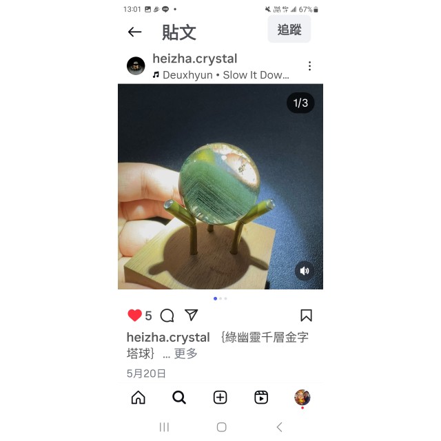 千層綠幽靈 千層綠幽靈